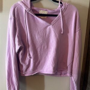 American Eagle Outfitters Light Purple Women's Hoodie